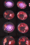 Album foto Sunwaves 5 - Ziua 1