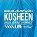 Kosheen live @ Boiler club